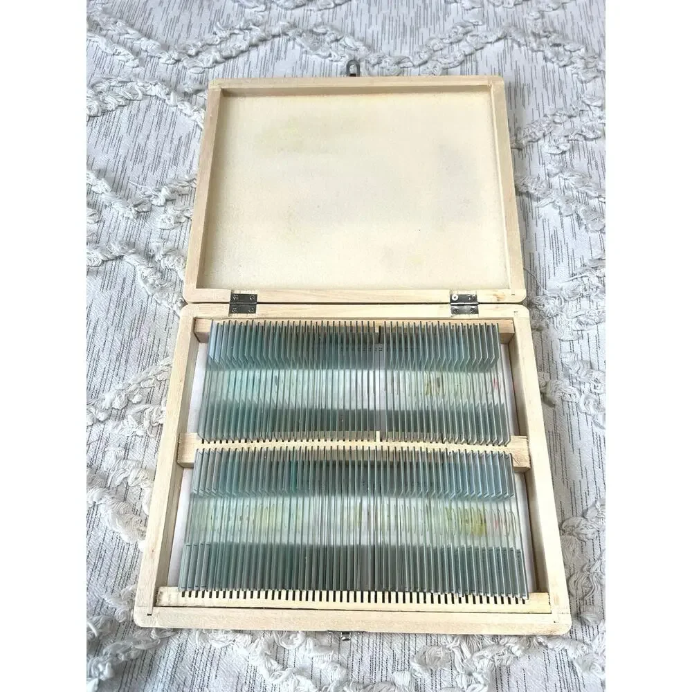 AmScope Specimen Collection Prepared Biology Microscope Slides - Picture 2 of 6